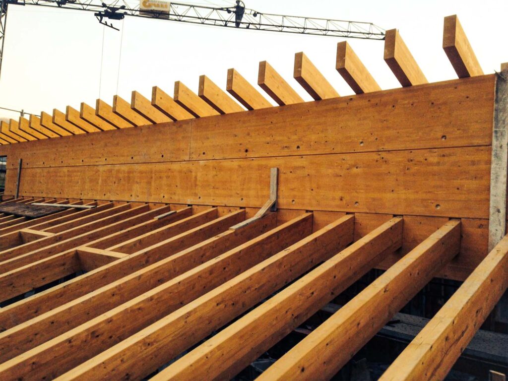 Impresa Veneziani Marco